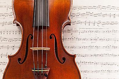 《咩咩启示录》羊绒仙境DLC前瞻 变成星露谷物语